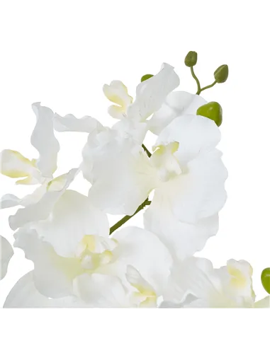 Hill Interiors White Vanda Orchid Plant In Ceramic Pot 23757