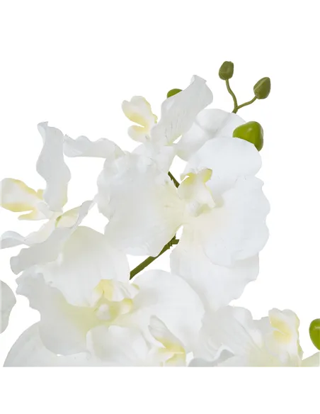 Hill Interiors White Vanda Orchid Plant In Ceramic Pot 23757