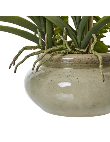 Hill Interiors White Vanda Orchid Plant In Ceramic Pot 23757
