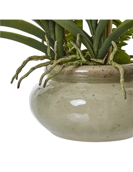 Hill Interiors White Vanda Orchid Plant In Ceramic Pot 23757