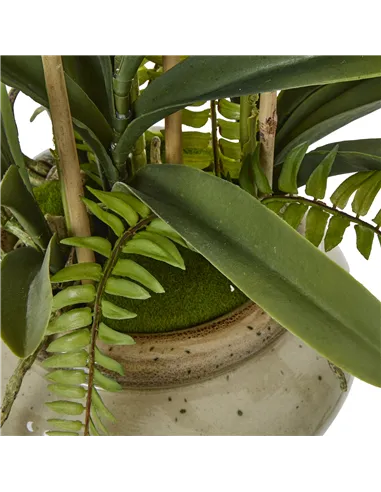 Hill Interiors White Vanda Orchid Plant In Ceramic Pot 23757