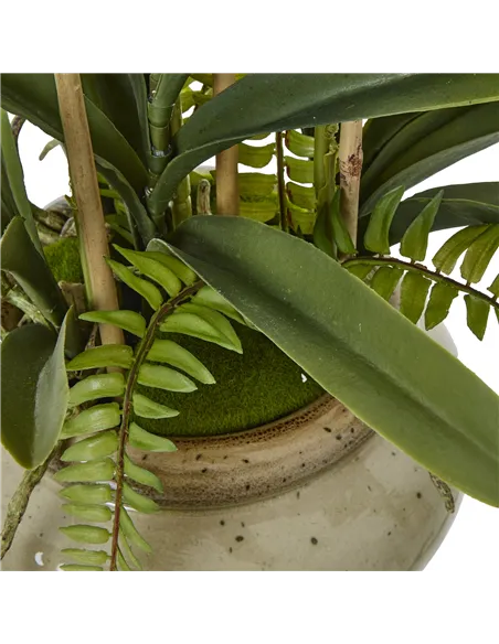 Hill Interiors White Vanda Orchid Plant In Ceramic Pot 23757