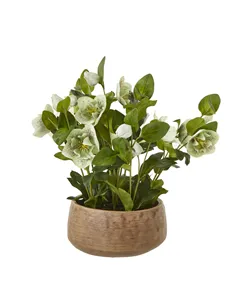 Hill Interiors Green Hellebore Plant In Taupe Pot 23762