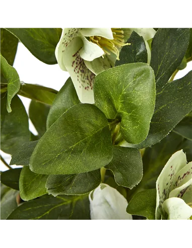 Hill Interiors Green Hellebore Plant In Taupe Pot 23762