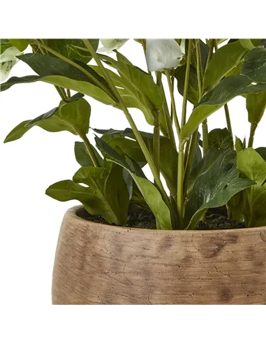 Hill Interiors Green Hellebore Plant In Taupe Pot 23762