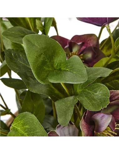 Hill Interiors Deep Plum Hellebore Plant In Taupe Pot 23763