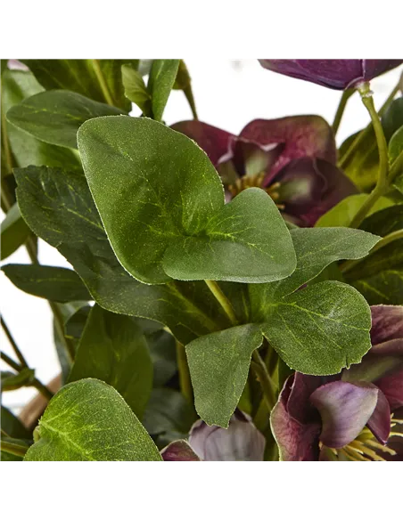 Hill Interiors Deep Plum Hellebore Plant In Taupe Pot 23763