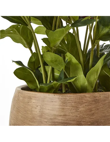 Hill Interiors Deep Plum Hellebore Plant In Taupe Pot 23763