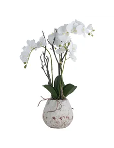 Hill Interiors White Orchid In Stone Pot 19956
