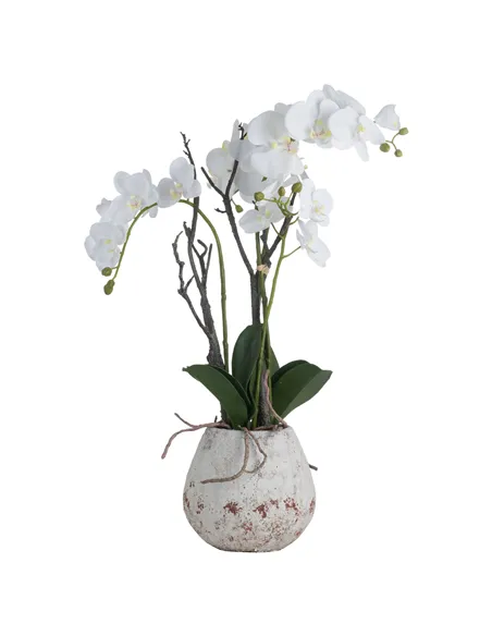 Hill Interiors White Orchid In Stone Pot 19956