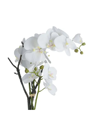 Hill Interiors White Orchid In Stone Pot 19956
