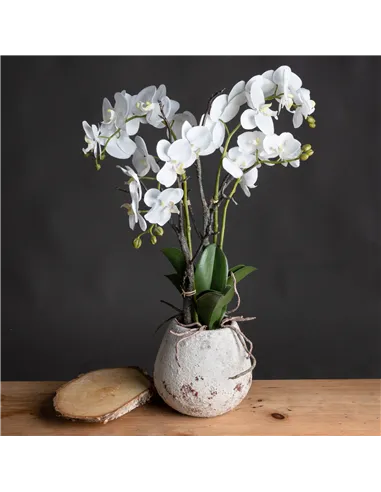 Hill Interiors White Orchid In Stone Pot 19956