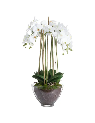 Hill Interiors Large White Orchid In Glass Pot 19959