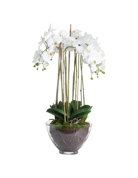 Hill Interiors Large White Orchid In Glass Pot 19959