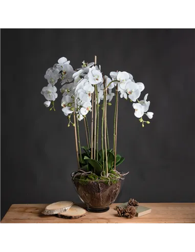 Hill Interiors Large White Orchid In Glass Pot 19959