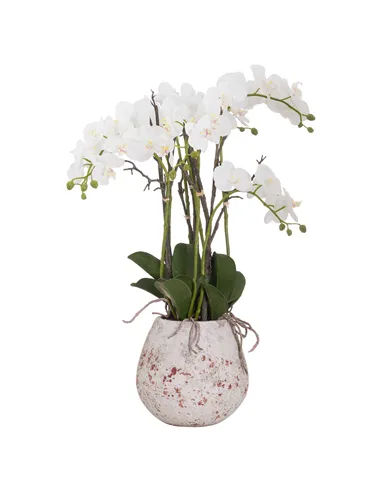 Hill Interiors Large Stone Potted Orchid With Roots 20430