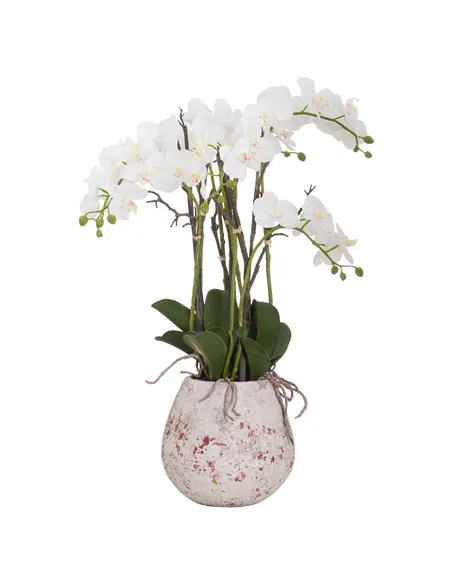 Hill Interiors Large Stone Potted Orchid With Roots 20430