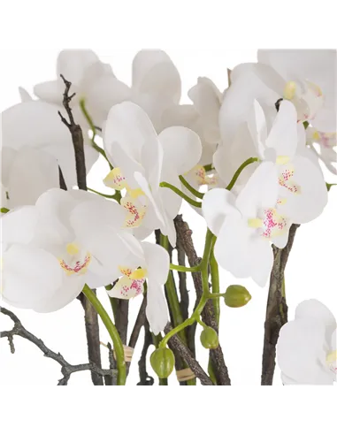 Hill Interiors Large Stone Potted Orchid With Roots 20430