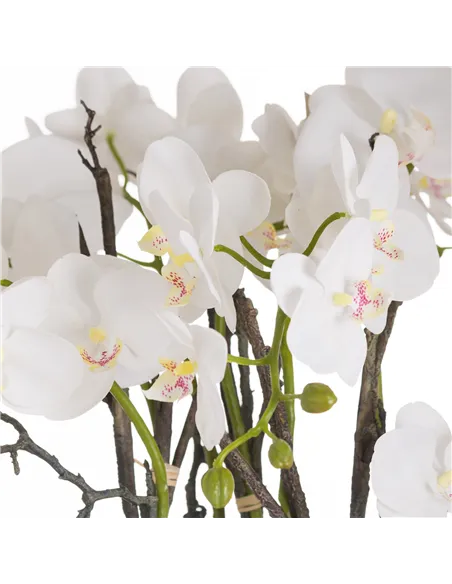 Hill Interiors Large Stone Potted Orchid With Roots 20430