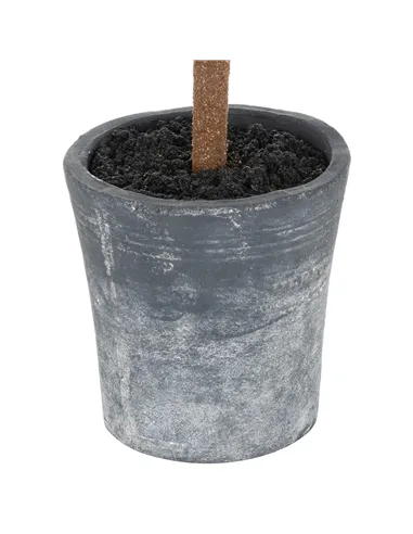 Hill Interiors Christmas Fir Tree In Stone Pot 21812