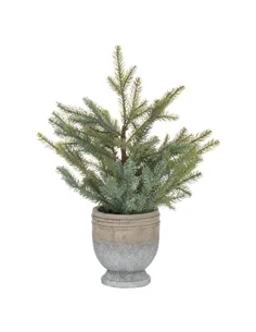 Hill Interiors Garda Pine Tree In Stone Pot 21821