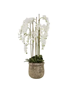 Hill Interiors Large White Orchid In Antique Stone Pot 22641