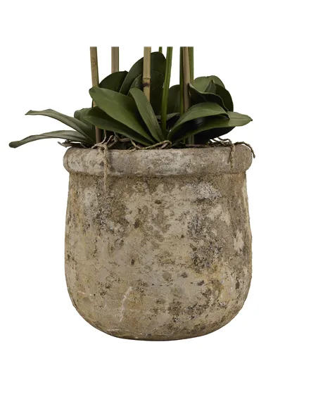 Hill Interiors Large White Orchid In Antique Stone Pot 22641