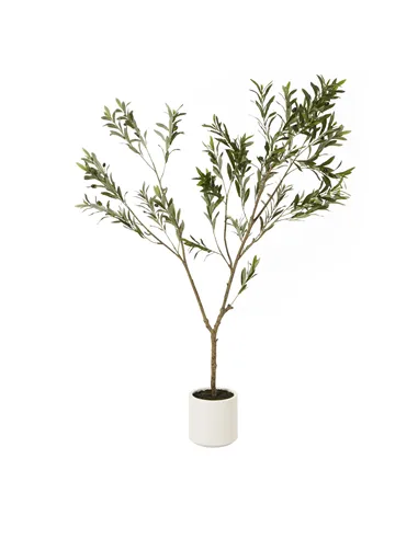 Hill Interiors Apulia Olive Tree In White Pot 180Cm 23707