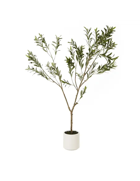 Hill Interiors Apulia Olive Tree In White Pot 180Cm 23707