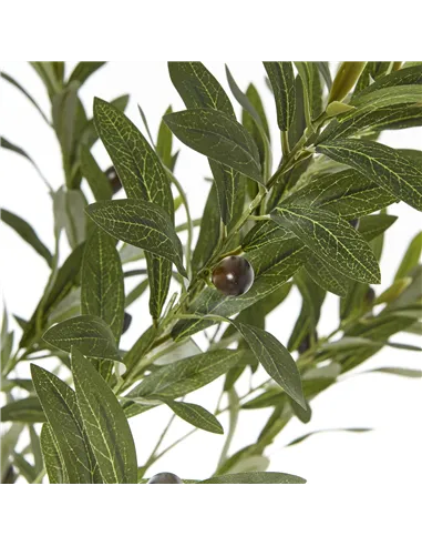 Hill Interiors Apulia Olive Tree In White Pot 180Cm 23707