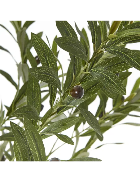 Hill Interiors Apulia Olive Tree In White Pot 180Cm 23707