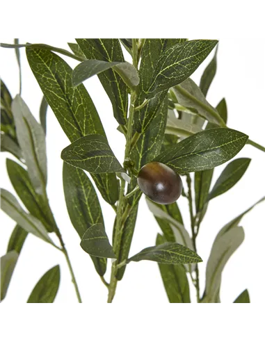 Hill Interiors Apulia Olive Tree In White Pot 180Cm 23707
