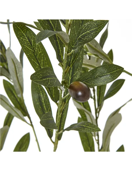 Hill Interiors Apulia Olive Tree In White Pot 180Cm 23707