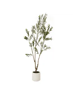 Hill Interiors Apulia Olive Tree In White Pot 210Cm 23708