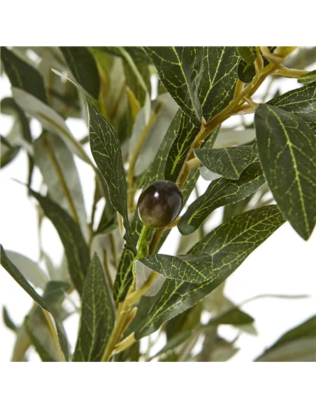 Hill Interiors Apulia Olive Tree In White Pot 210Cm 23708