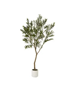 Hill Interiors Apulia Olive Tree In White Pot 240Cm 23710