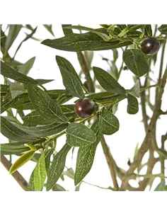 Hill Interiors Apulia Olive Tree In White Pot 240Cm 23710 2