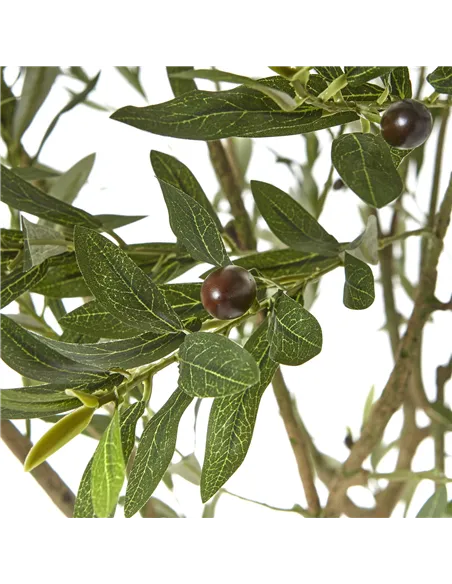 Hill Interiors Apulia Olive Tree In White Pot 240Cm 23710
