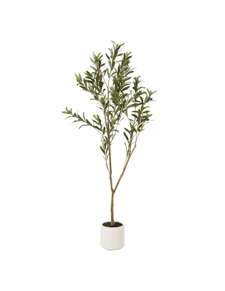 Hill Interiors Apulia Olive Tree In White Pot 150Cm 23711