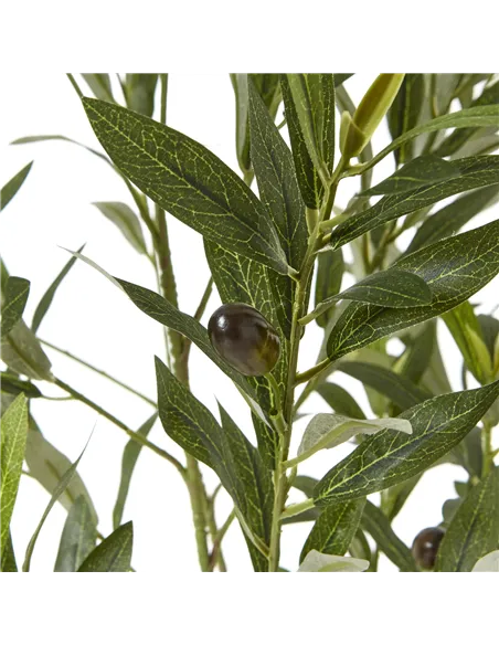 Hill Interiors Apulia Olive Tree In White Pot 150Cm 23711