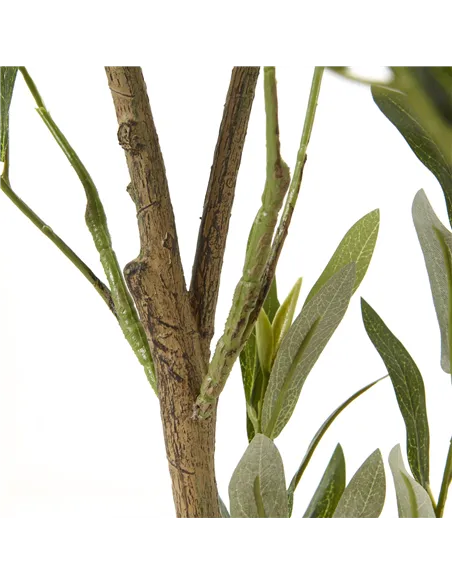 Hill Interiors Apulia Olive Tree In White Pot 150Cm 23711