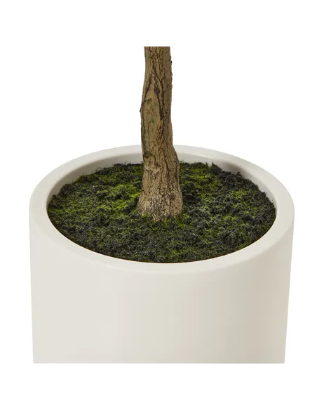 Hill Interiors Apulia Olive Tree In White Pot 150Cm 23711
