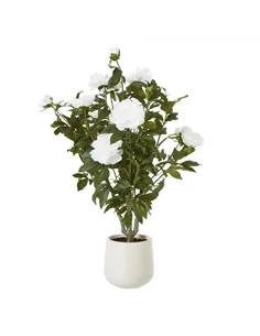 Hill Interiors Extra Large White Peony Bush In Pot 23756