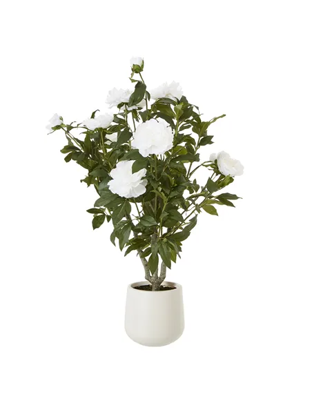 Hill Interiors Extra Large White Peony Bush In Pot 23756
