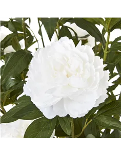 Hill Interiors Extra Large White Peony Bush In Pot 23756 2