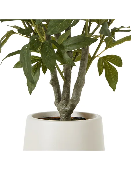 Hill Interiors Extra Large White Peony Bush In Pot 23756