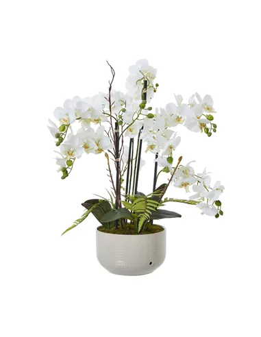 Hill Interiors Large White Orchid In Ceramic Pot 23758