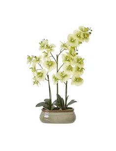 Hill Interiors Large Green Orchid In Ceramic Pot 23759