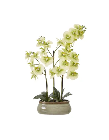 Hill Interiors Large Green Orchid In Ceramic Pot 23759