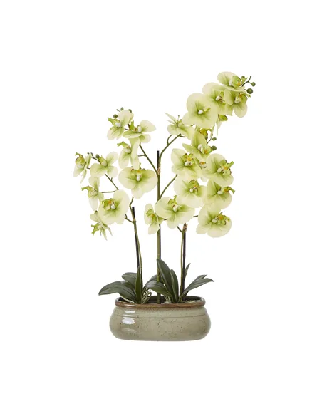 Hill Interiors Large Green Orchid In Ceramic Pot 23759